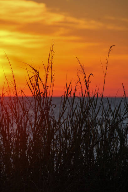 istock Vibrant Florida sunset photo - 2162822547