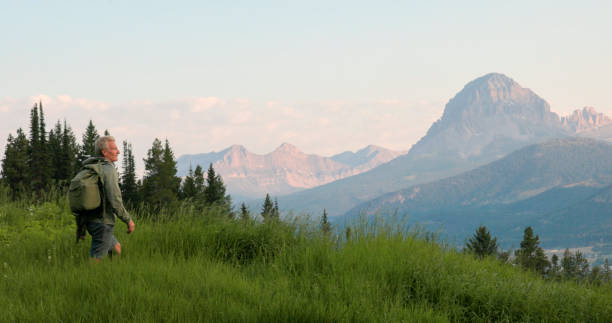 Senior man hikes through lush meadow at dawn in springtime, Crowsnest Pass, Alberta