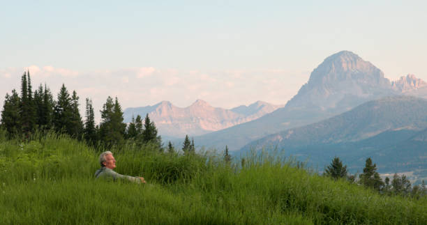 istock Senior man hikes in meadow in morning light 2162823578