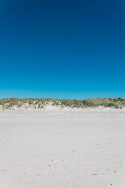 istock nord beach in Denmark 2162823691