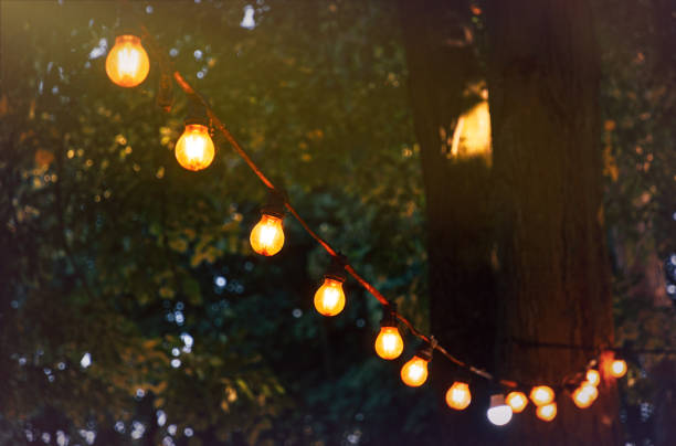 istock Festive glowing bulbs in the summer garden 2162823843
