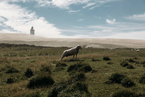 The lighthouse Rubjerg Knude in Denmark
