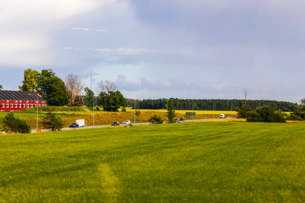 Rural landscape with red car driving on dirt road among blooming rapeseed fields
