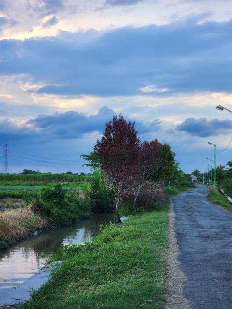 istock afternoon time in a village 2162830476