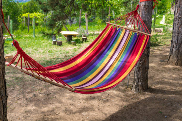 istock A striped colorful  hammock between two trees in a sunny green garden 2162830513