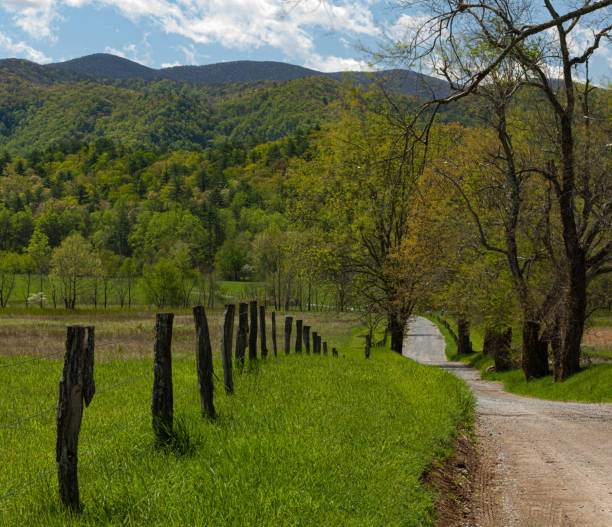 istock Spring Green and Trees Budding in Cades Cove 2162832496