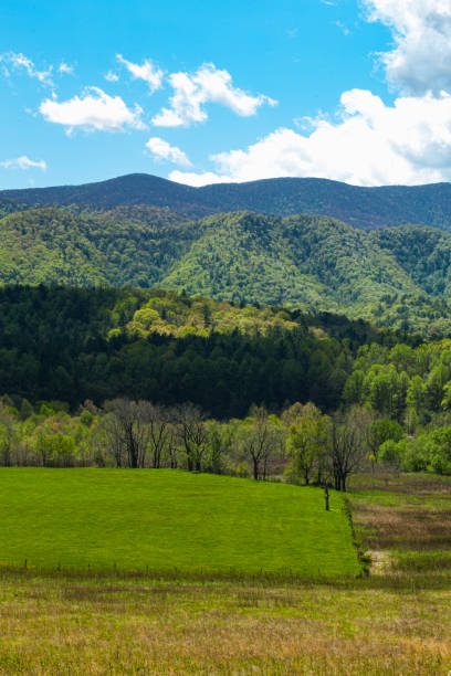 istock Spring Green and Trees Budding in Cades Cove 2162832512