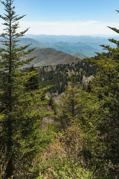 istock Blue Ridge Parkway in the Spring 2162832583