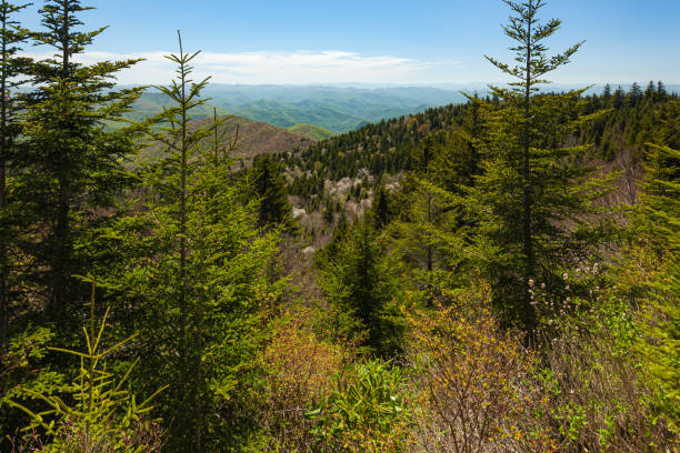 istock Blue Ridge Parkway in the Spring 2162832584