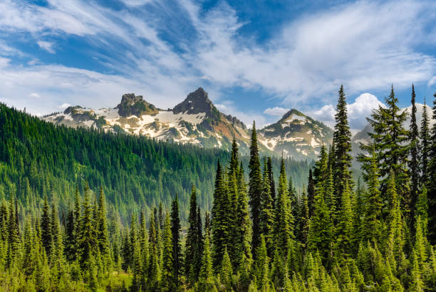 The Tatoosh Range and Sub-Alpine Forest