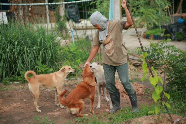 istock mature woman gardening 2162835716