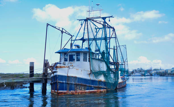 Shrimp Boat in Louisiana backwater canal