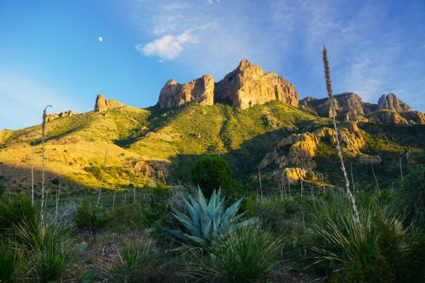 istock Big Bend National Park Texas 2162838084