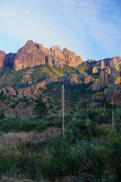 istock Big Bend National Park Texas 2162838094