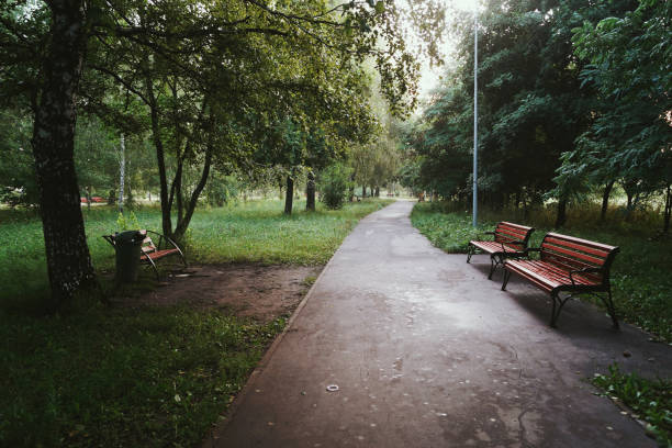 Alley view landscape