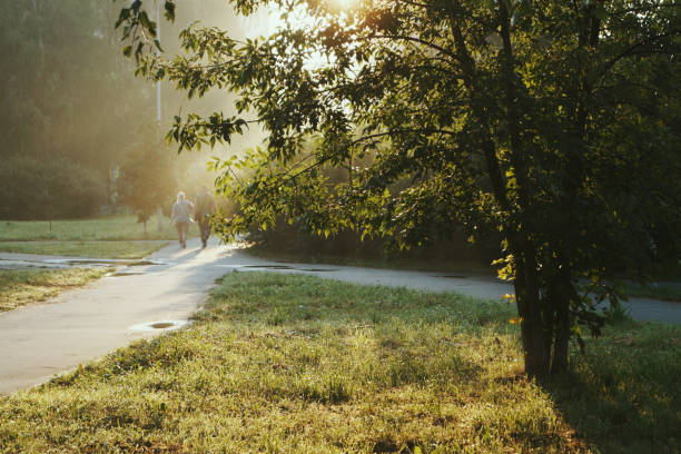 Alley view landscape