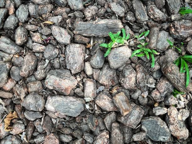 istock Wood gravel 2162839577