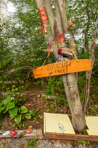 istock A Wishing Tree Along Side a Walking Trail with Ornaments and Painted Rocks at the Base 2162848285