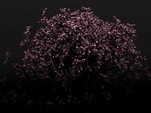 istock Fantastic landscape of Cherry Blossoms and Starry Night 2162848328