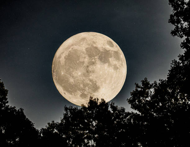 istock Waxing Gibbous 2162848709