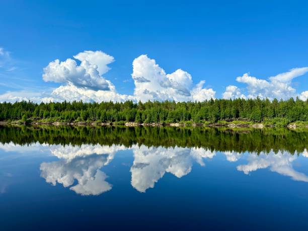 istock Picturesque river landscape in summer 2162850574