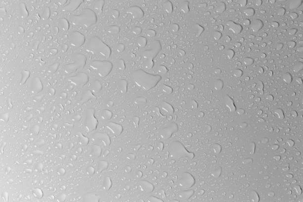 Water droplets on the gray background.