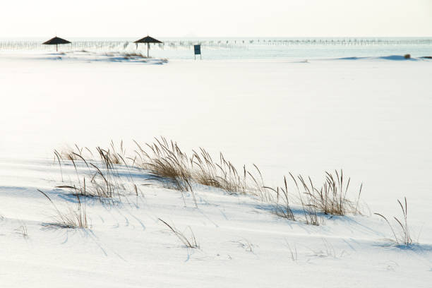 winter landscape in the island