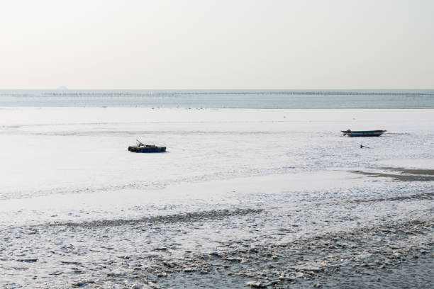 istock snow-covered mudflats at the seaside 2162854303