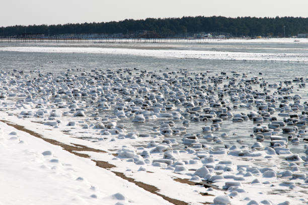 istock seaside covered with snow and ice 2162854341