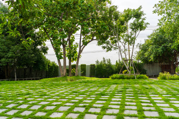 A large, grassy yard with a stone patio and a few trees. The yard is empty and peaceful, with a sense of calmness and serenity.