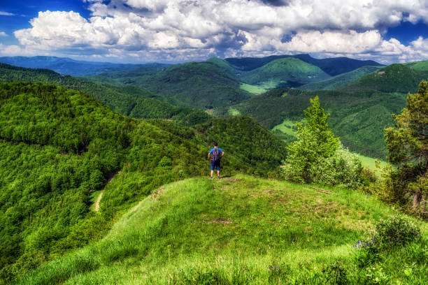 istock Hiker looking from hill Zniev, Slovakia 2162857987
