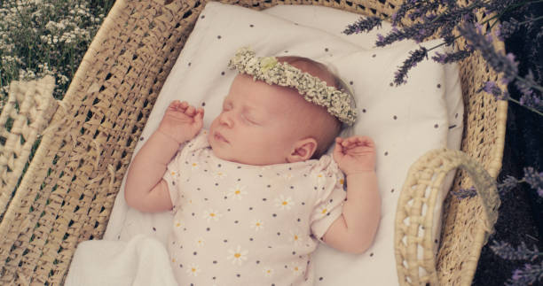 Newborn photo sessions.