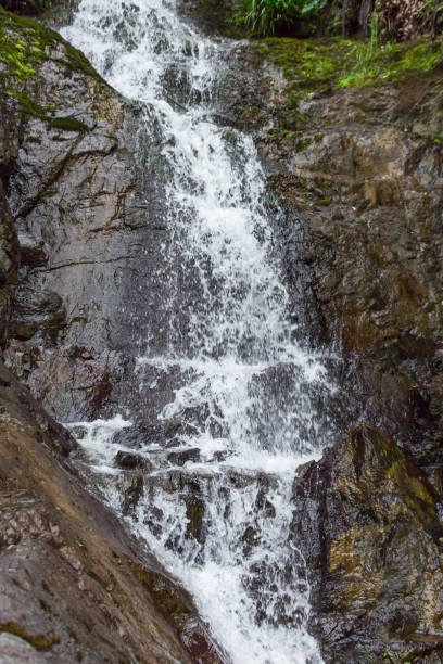 istock Wairoa Falls in Hunua 2162858993