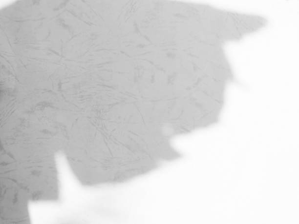 istock Shadow light summer background sunight overlay nature on room cement wall floor abstract blur muckup effect grey minimal platform for presentation product backdrop, wallpaper template display. 2162860215