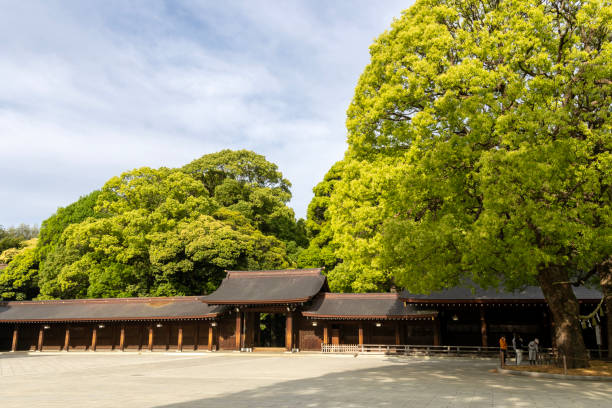 Tokyo, Japan- 12 May 2024: Meiji Jingu in Tokyo, Japan. It is dedicated to the deified spirits of Emperor Meiji and his wife, Empress Shoken