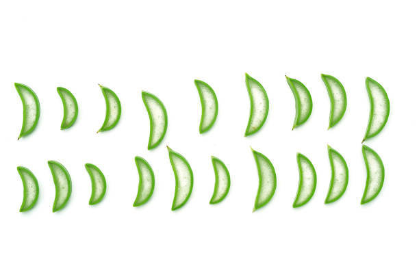 istock several pieces of green aloe vera placed on a white background 2162861004
