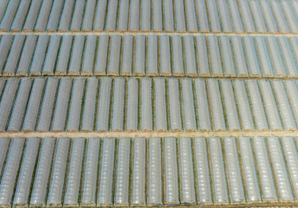 An aerial view of a large area of ​​greenhouses. The greenhouses are arranged neatly, demonstrating the scale and standardization of modern agriculture.