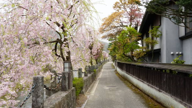 istock Hida Furukawa Area, Japan 2162861917