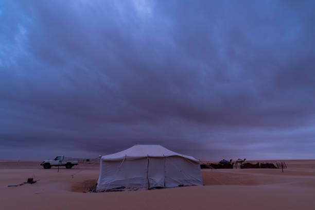 istock Dark storm clouds in the desert camel farm. 2162863334
