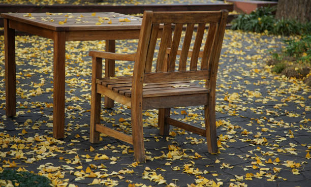 istock fallen leaves on the ground 2162863886