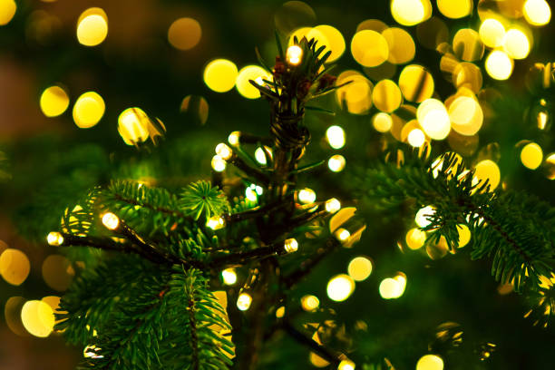 istock Christmas tree glowing with colorful lights 2162864336