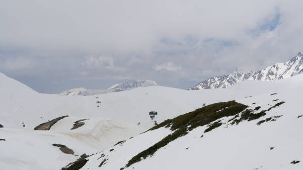 istock Tateyama kurobe alpine route 2162864612