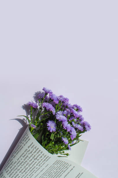 Plant, Flower and Copy Space.