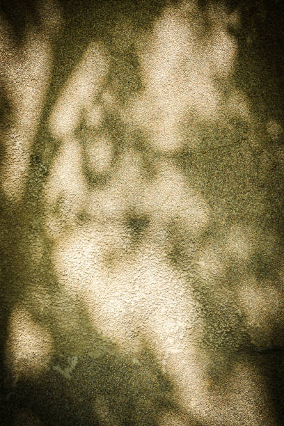 istock Shadow of leaves on grayish concrete wall texture background 1 2162865389