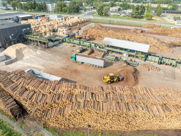 istock Wood sawmill, machinery for processing wood. Processing plant. A worker operating loader, modern wood processing factory, load freshly cut logs onto the production line for processing, manufacturing. 2162865591
