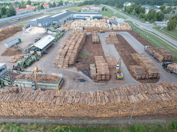 istock Wood sawmill, machinery for processing wood. Processing plant. A worker operating loader, modern wood processing factory, load freshly cut logs onto the production line for processing, manufacturing. 2162865936