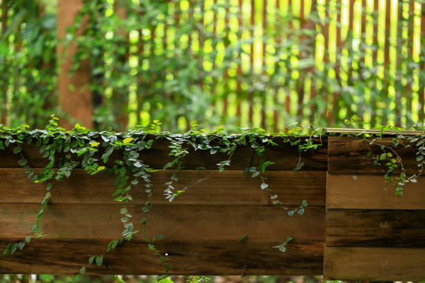 Wooden fence in the garden with green leaf background