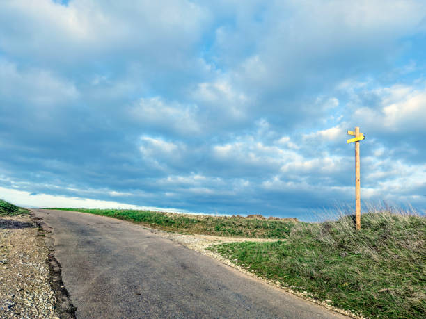 Pathways on the hill with distant ocean and island view