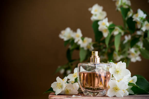 istock fragrant jasmine flowers and perfume 2162866658