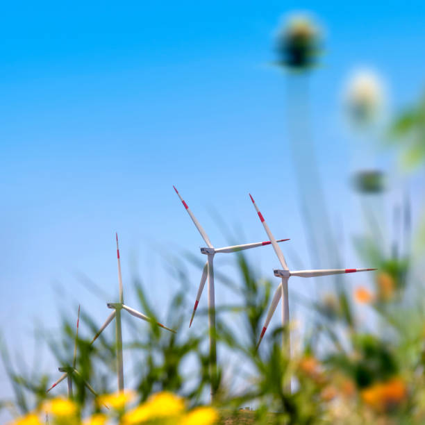 Group of wind turbines on mountain